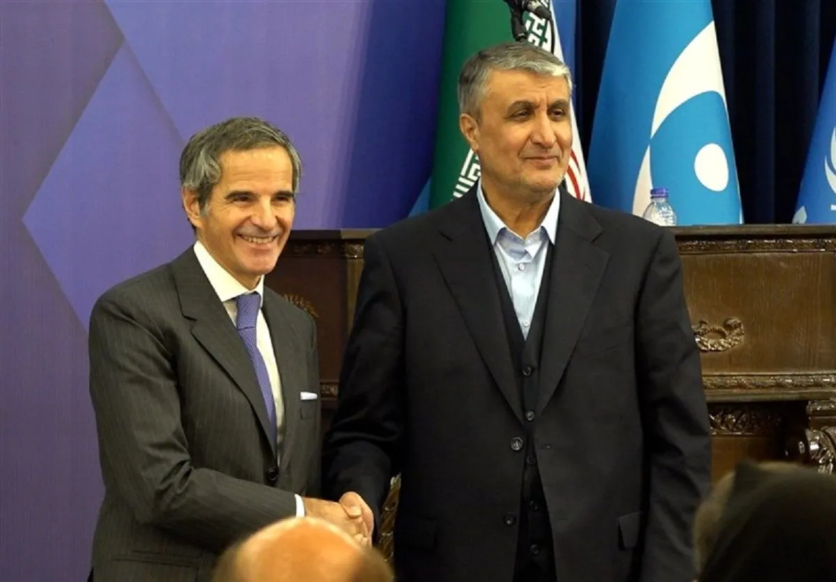 سخنگوی وزارت خارجه: اقدام اتریش در صادر نکردن روادید برای رئیس سازمان انرژی اتمی ایران، ناموجه است/ بیان ناقص یا وارونه واقعیات از سوی گروسی، زمینه سوءاستفاده را فراهم می‌کند