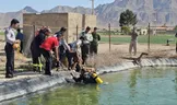 پزشکی قانونی: هشدار درباره افزایش موارد غرق‌شدگی در فصل گرم سال؛ بیش از ۴۰ درصد تلفات مربوط به تابستان است/ ماه مرداد عمدتاً بیشترین قربانیان را به خود اختصاص می‌دهد/ سال گذشته ۸۸۸ نفر بر اثر غرق‌شدگی در کشور جان خود را از دست دادند