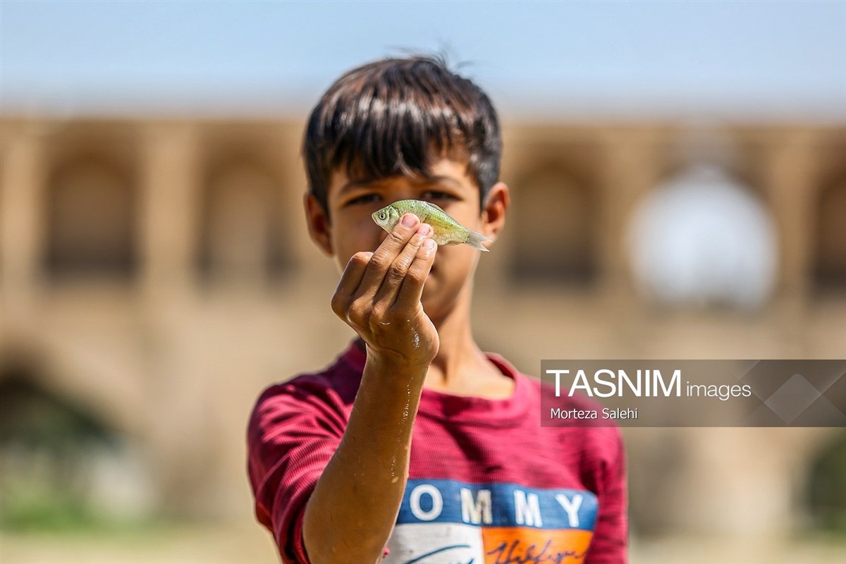 تصاویر: خشکی زاینده رود خطری برای محیط زیست