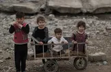 تصاویر : شهر جنگ زده موصل‎