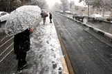 آغاز بارش برف در برخی از مناطق پایتخت