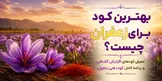 بهترین کود برای زعفران چیست؟ برنامه‌ای کامل برای گلدهی بیشتر و بنه‌های قوی‌تر