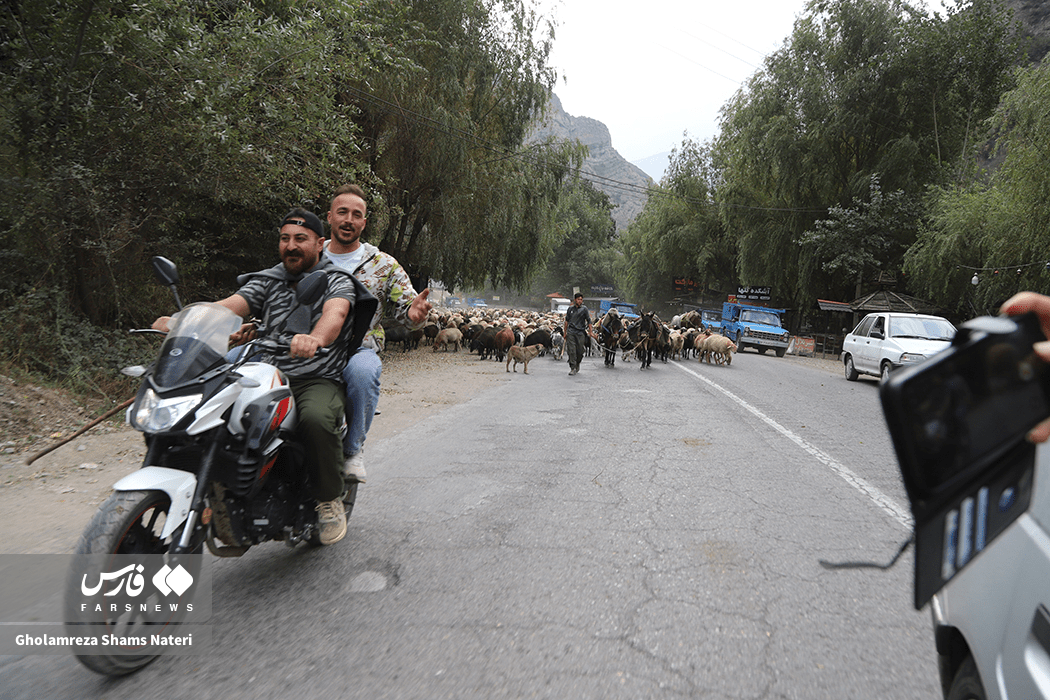 تصاویر: انسداد پر دردسر