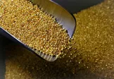قیمت طلا، امروز شنبه ۳ مرداد ۱۴۰۵
