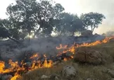 رئیس دادگستری مازندران: مدیران مقصر در مهار آتش‌سوزی جنگل‌های هیرکانی الیت مجازات می‌شوند