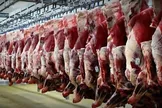 سازمان دامپزشکی: هیچ مجوزی برای کشتار و عرضه گوشت اسب، الاغ و قاطر صادر نشده  / این موضوع در حد یک درخواست اولیه از سوی برخی اقلیت‌های دینی در تعدادی از استان‌ها مطرح شده