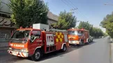 آتش‌سوزی چند درخت در حوالی ورزشگاه انقلاب / آتش نشانی: بی‌احتیاطی کارگران ساختمانی سبب آتش سوزی شد