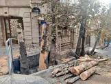 تصاویر: قطع چنارهای تنومند محله‌ باغ فردوس تهران