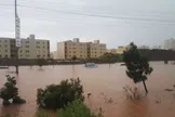 سیل پرند تلفاتی نداشت/ سرنشینان وسایل نقلیه همگی نجات پیدا کردند