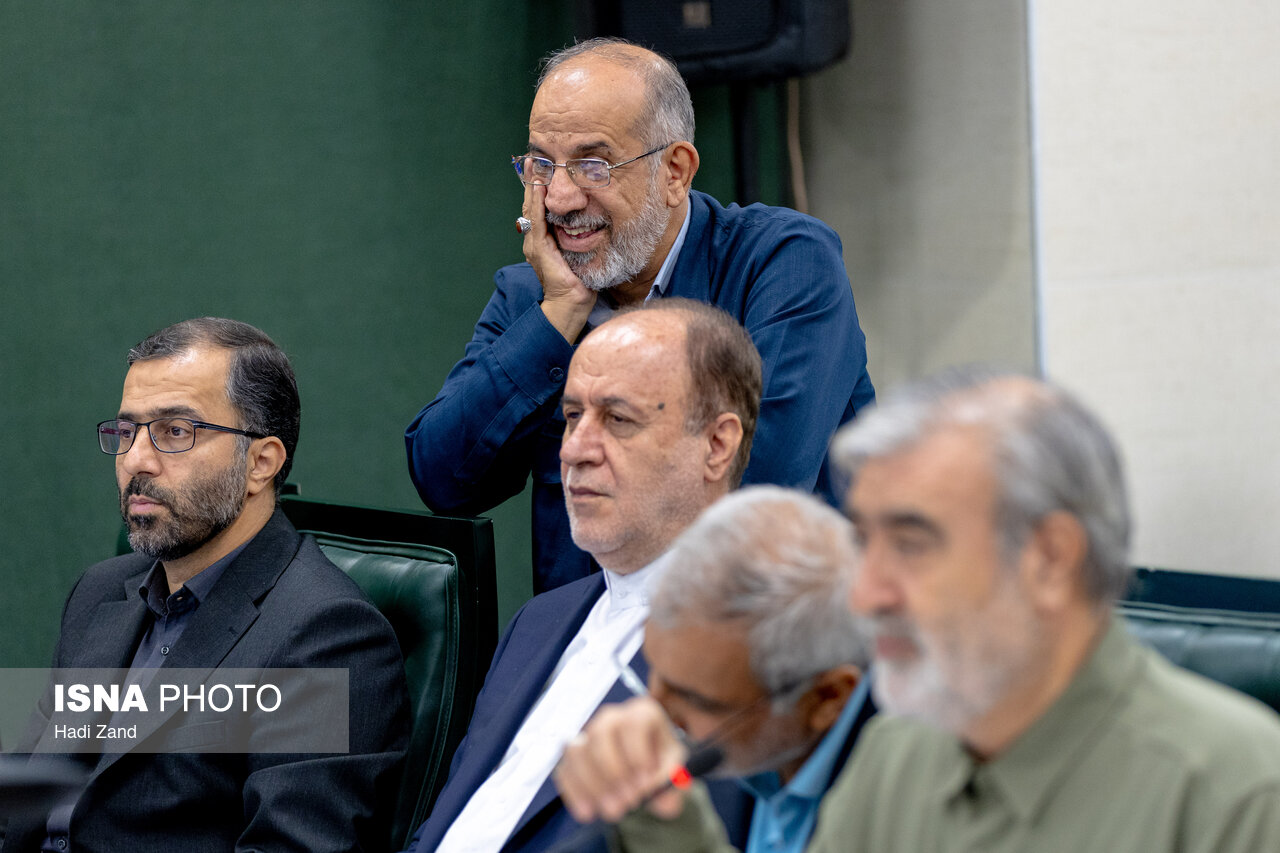 تصاویر: نشست علنی مجازی مجلس - ۱۵ شهریور