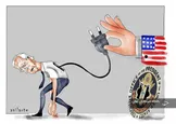 کاریکاتور / کشیدن بایدن از برق