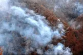 استاندار مازندران: آتش‌سوزی الیت به صورت لکه‌ای ادامه دارد/ تا آنجایی که ممکن بود آتش کنترل شده است / ۸ هکتار از عرصه‌ها در این حوادث دچار خسارت شدند