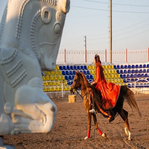 تصاویر: جشنواره کشوری اسب اصیل ایرانی - شیراز