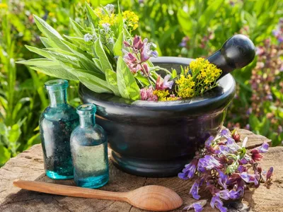 داروهای گیاهی مؤثر در کاهش قند خون