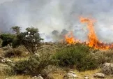 زبانه آتش در ۴ نقطه از جنگل‌های هیرکانی / پاییز داغ در شمال