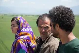 «تومان» آنلاین اکران می‌شود / نمایش اینترنتی دومین فیلم جشنواره فجر پس از «خروج»