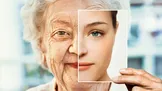 مسدود کردن یک سیگنال ایمنی، برخی نشانه‌های پیری را در موش‌ها معکوس کرد