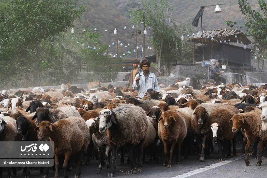 تصاویر: انسداد پر دردسر