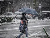 بارش‌های گسترده برف و باران با ورود سامانه بارشی قدرتمند به کشور / وقوع سیل، آبگرفتگی و کولاک در ۵ استان و امدادرسانی هلال‌احمر به بیش از ۲۰۰۰ نفر / باران و برف گستره وسیعی از جاده‌های کشور را در بر گرفت / گرفتاری خودرو‌ها در برخی مسیر‌ها به علت سیلاب و برف