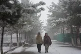 بارش برف و باران شدید در افغانستان جان ۱۱ نفر را گرفت