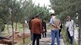 پیکر «نجف دریابندری» زیر باران آرام گرفت + تصاویر