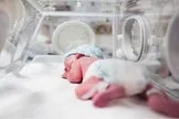 پیدا و پنهان عدم انجام یک آزمایش حیاتی از نوزاد
