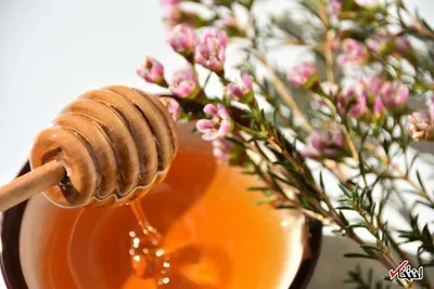 چگونه آبریزش بینی را متوقف کنم؟