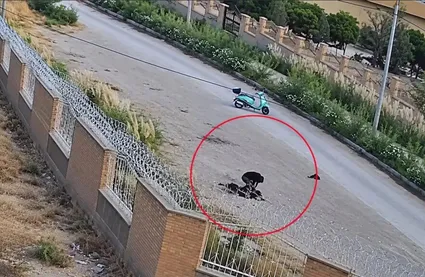ببینید / تصاویری از خفتگیری بیرحمانه از دختر دانشجو در خراسان شمالی