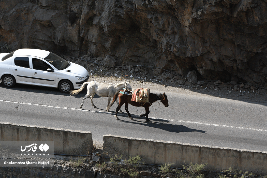 تصاویر: انسداد پر دردسر