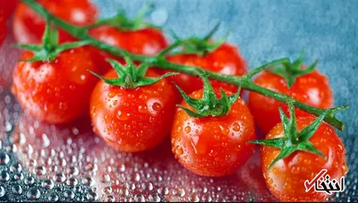 گوجه گیلاسی چه خواصی دارد؟