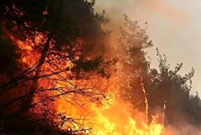 استاندار مازندران: آتش‌سوزی جنگل‌های الیت کنترل شد؛ لکه‌گیری در حال انجام است / معاون رئیس جمهور: ۲ هواپیمای اطفای حریق به همراه یک بالگرد و ۸ نیروی متخصص از ترکیه برای مهار آتش‌سوزی جنگل چالوس به منطقه اعزام شد/ یک نماینده: هواپیما‌هایی که از ترکیه آورده‌اند توانستند تا حدی آتش را مهار کنند / رئیس سازمان جنگل‌ها: به احتمال بسیار زیاد منشأ آتش‌سوزی انسانی است