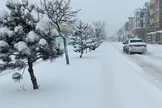 ارتفاع ۴۰ سانتی متری برف در کجور مازندران / راه ۴۲ روستای بالادست بسته است