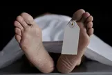 وقتی مرگ منبع درآمد است؛ نگاهی به تجارت جسد در آمریکا