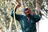 هواشناسی: رطوبت هوا در خوزستان به ۹۰ درصد رسید