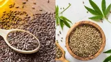 دانه شاهدانه در مقابل دانه کتان: کدام‌یک بهتر است و آیا می‌توان آن‌ها را با هم مصرف کرد؟