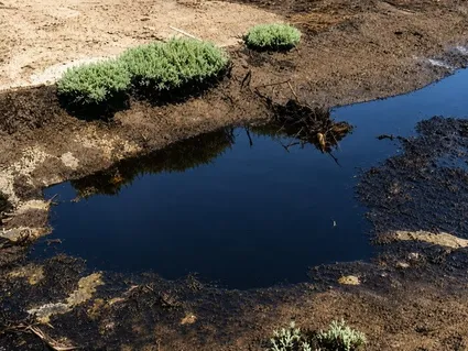 ببینید/ رونمایی از لکه‌های نفتی در قشم