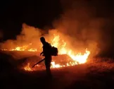 مسئول منطقه حفاظت شده بیستون: مهار آتش‌سوزی در بیستونِ کرمانشاه/ تکرار این رخداد‌ها پوشش گیاهی را تهدید می‌کند و حیات وحش منطقه را با چالش‌های جدی مواجه می‌سازد