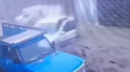 ببینید/ لحظه وقوع سیل‌ ویران‌گر در شهرستان گرمی اردبیل