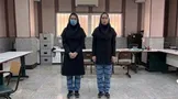 شگرد عجیب دخترعموهای سارق؛ متهمان به بهانه آموزش زبان قدم نقشه سرقت‌هایشان را عملی می‌کردند