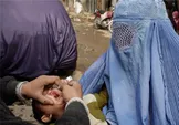 سازمان جهانی بهداشت: ۹ میلیون کودک افغان واکسن فلج اطفال دریافت کردند