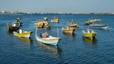 بی‌خبری از ۹ صیاد بندرلنگه‌ای پس از پنج روز