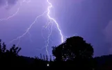 ببینید / سقوط درخت در نوشهر پس از تندباد شدید و رعد و برق مهیب