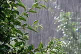 وضعیت آب و هوا، امروز ۹ تیر ۱۴۰۵؛ رگبار و رعد و برق در ۱۰ استان نوار شمالی کشور