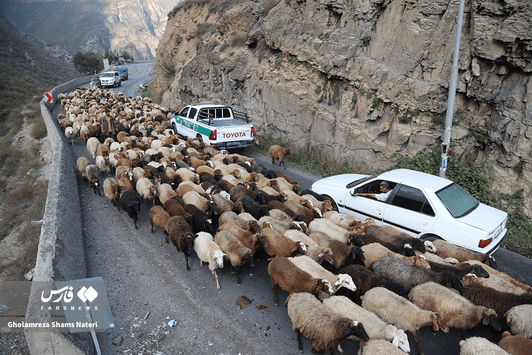 تصاویر: انسداد پر دردسر