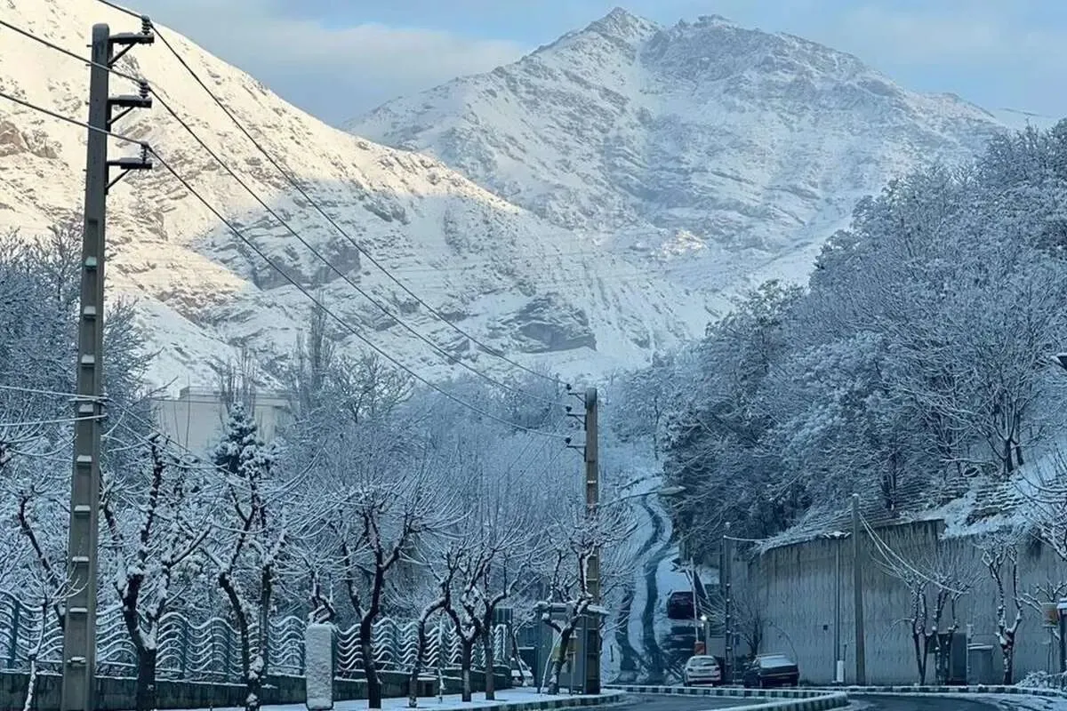 ببینید/ ویدیویی از توچال برفی